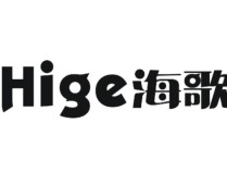 壁挂炉显示E8故障代码意味着什么？